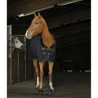Chemise Polaire Equithème Teddy