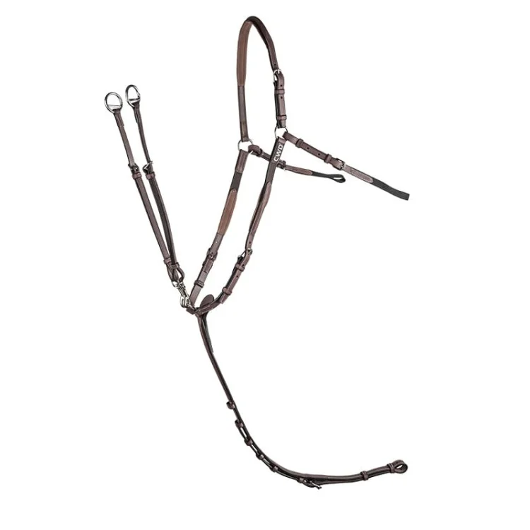 Collier De Chasse CWD à Pont Réglable 1/2 Rond
