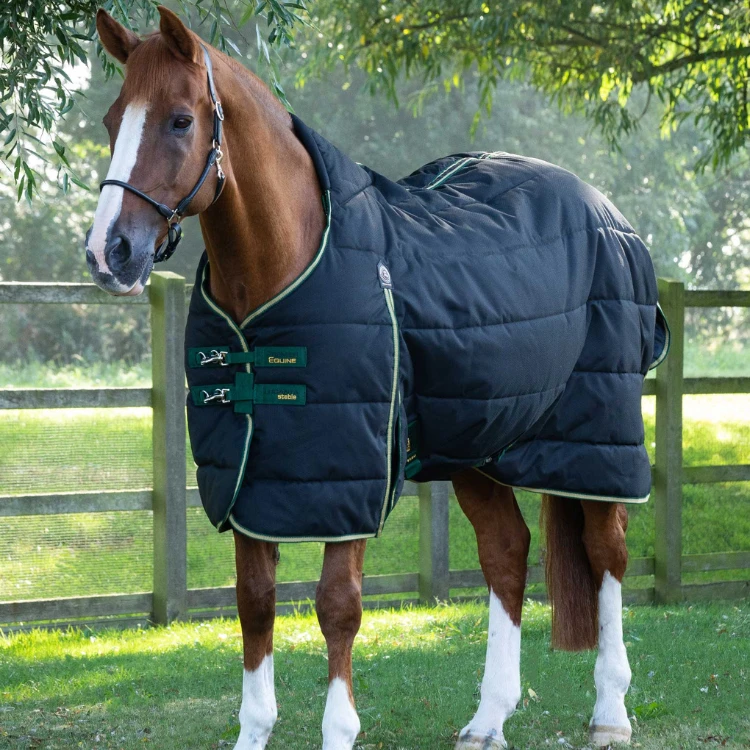 Couverture D'écurie Premier Equine Lucanta 450g