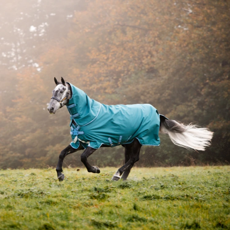 Couverture Horseware Amigo Bravo 12 Plus 100grs Disc