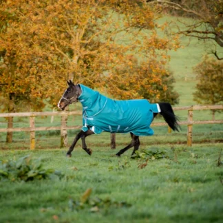 Couverture Horseware Amigo Bravo 12 plus 400grs