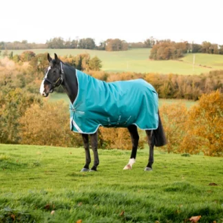 Couverture Horseware Amigo Bravo 12 Wug 250grs