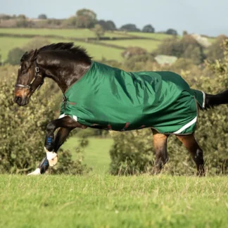 Couverture Horseware Rambo Original 100g Leg Arches