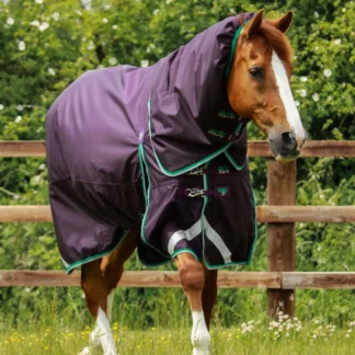 Couverture Premier Equine Buster 200g Avec Couvre Cou Snug-Fit