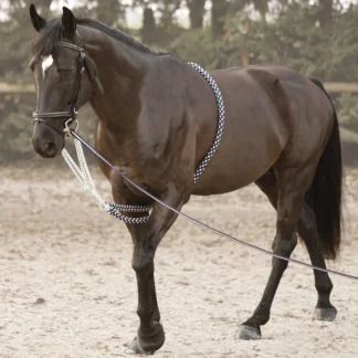 Enrênement Soft Rope Canter