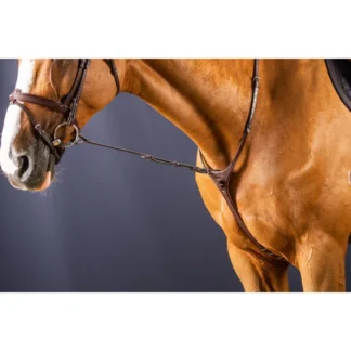 Fourche De Martingale Fixe Dy'on NEC