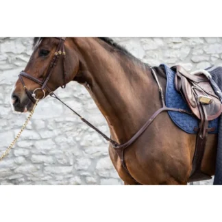 Fourche De Martingale Dy'on Fixe D Collection