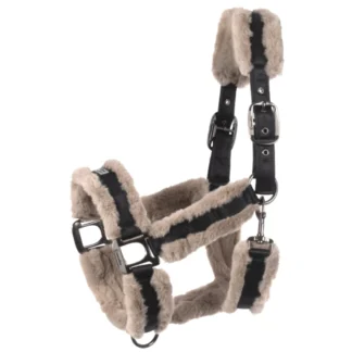 Licol Cavallo Juno