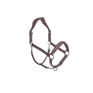 Licol CWD d'écurie