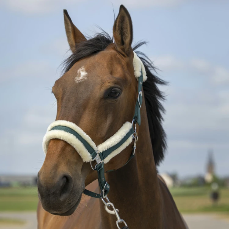 Licol Equithème Nylon Mouton