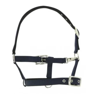 Licol Foal Norton "Respirant"