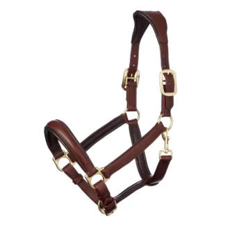 Licol LeMieux Anatomic