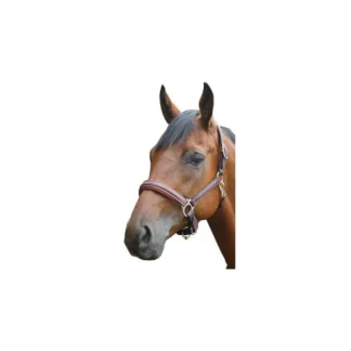 Licol Privilège Equitation Royan
