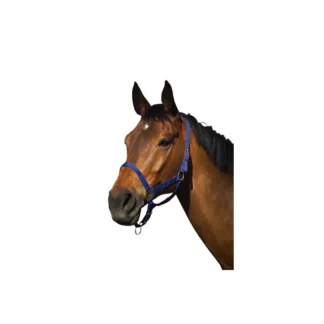 Licol Riding World