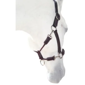 Licol Silver Crown Grooming