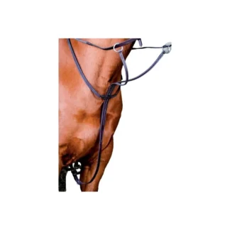 Martingale TdeT Surpiquée