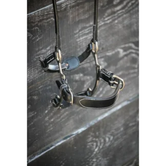 Muserolle Jump'In Week Hackamore