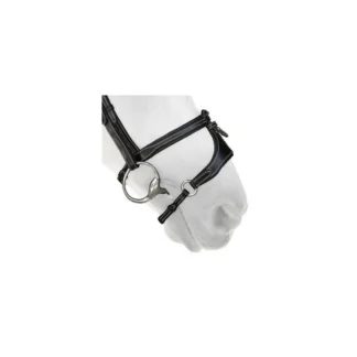 Muserolle Silver Crown Avec X-Nose II