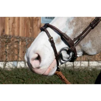 Noseband Dy'on Avec 2 Attaches Amovibles