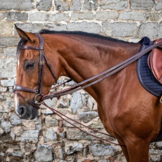 Rênes Allemandes Dy'On Cuir Et Nylon