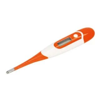 Thermomètre Numérique Avec Sonde Flexible