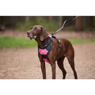 Weatherbeeta Anti Pull/Travel Harness