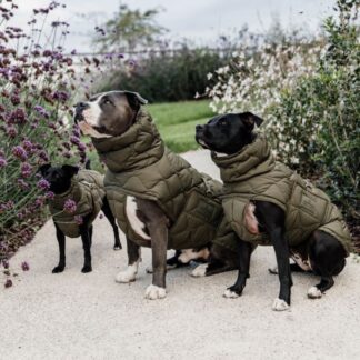 Kentucky Dog Coat Winter Pina