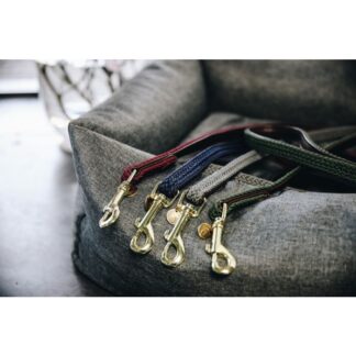 Kentucky Dog Lead Plaited Nylon