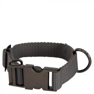 BR FW'24 dog collar