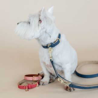 Kentucky Dog Collar Soft Vegan Leather