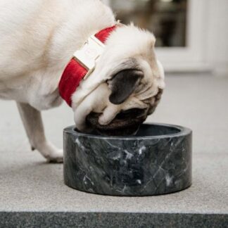 Kentucky Dog Bowl Marble