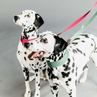 Kentucky Dog Lead Jacquard 140 cm