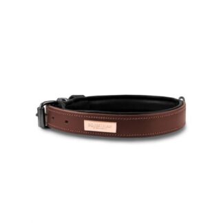 Equestrian Stockholm SS'24 Endless Glow Collar Clean