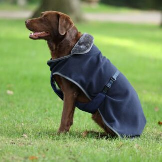 Bucas Show-Line Dog Rug