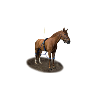 Equine legcooler complete