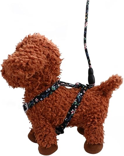 FOMIYES kleine hundegeschirre Katzenhalsband Leine Haustierkomfort Traktionsgurt für Katzen Straps keilriemen Katze Geschirr Gurt Katzengeschirr Haustierzubehör gewidmet Leinen Seil