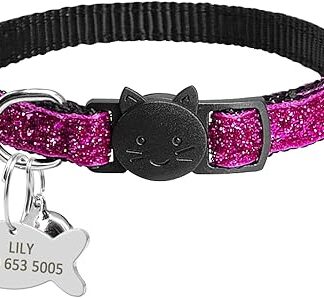 Release Cat Puppy Tag Collar Set Personalised Nylon Kitten Collar with Engraving for Small Pets, Kittens, 1 cm Width, Rose, 18 to 27 cm