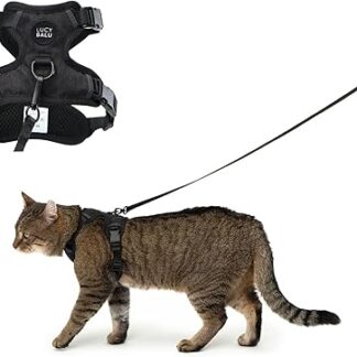 LucyBalu® Explorer Cat Harness with Lead, Escape Proof Cat Harness with AirTag Compartment, Cat Chest Harness with Cat Lead, Safety Harness with Lead for Cats, Black, M/L