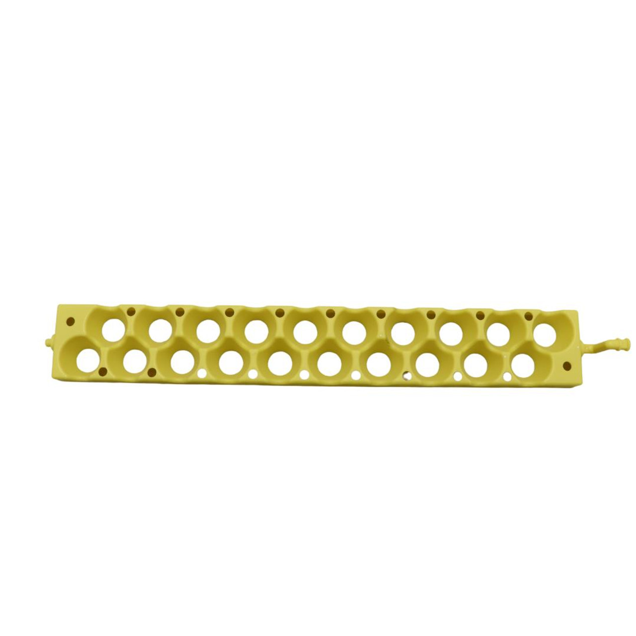 Quail Egg Racks