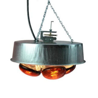 Automatic Thermostat Four Lamp Brooder