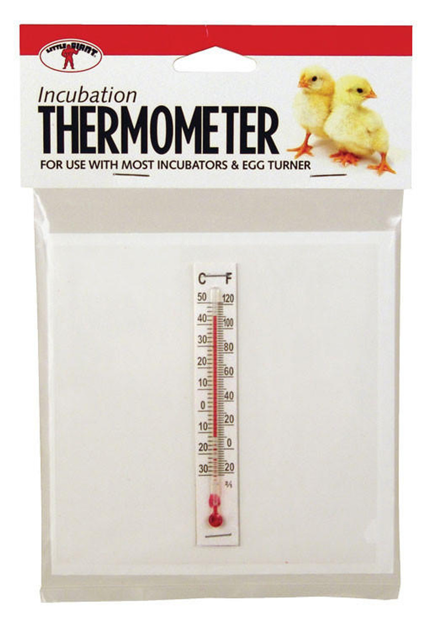 Thermometer Kit