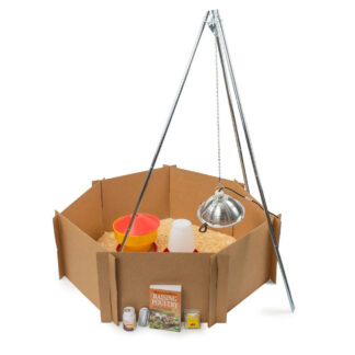 Baby Chick Care Package, Basic