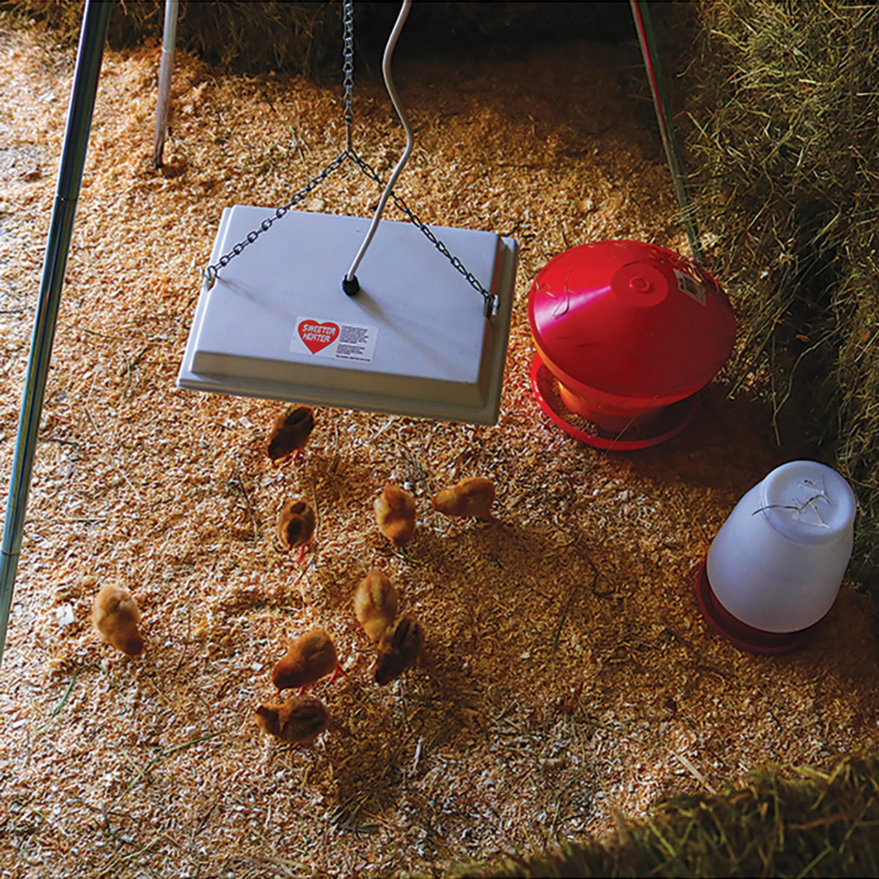 Sweeter Heater Chick Brooder