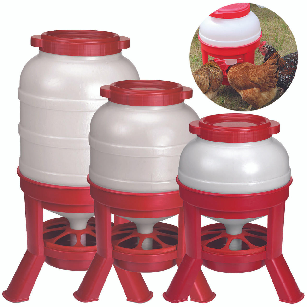 Plastic Dome Feeder