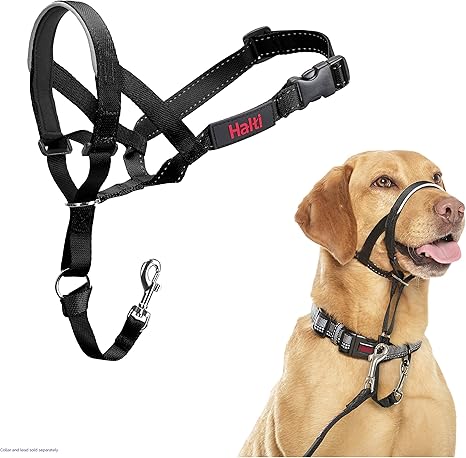 Halti dog collar.