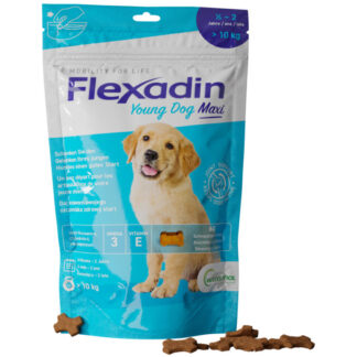 Vetoquinol FLEXADIN YOUNG DOG MAXI 60 BITS лакомства для суставов для молодых собак