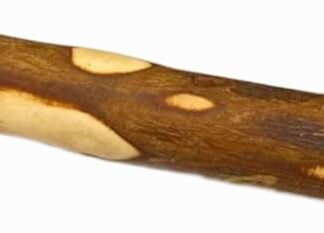 Dei NATURE Legno di Ulivo per Cani, Masticativo Naturale, Bastoncino Antitartaro per Pulizia Denti, Taglia S