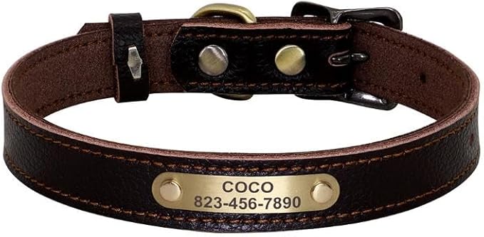 Collare Per Cani Personalizzato Collari Per Gatti Regolabili Per Cuccioli Collari Per Chihuahua Per Animali Domestici Collana Anti-smarrimento Per Cani Di Piccola Taglia E Media,Marrone,20-30 C