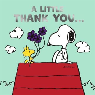 Cartoline Hallmark Peanuts Snoopy Grazie Un piccolo ringraziamento...