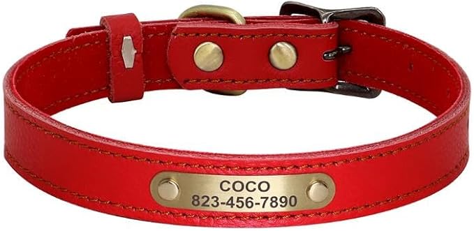 Collare Per Cani Personalizzato Collari Per Gatti Regolabili Per Cuccioli Collari Per Chihuahua Per Animali Domestici Collana Anti-smarrimento Per Cani Di Piccola Taglia E Media,Rosso,20-30 Cm
